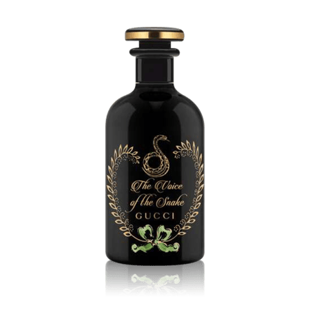 قوتشي ذا فويس اوف ذا سنيك