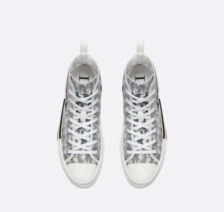 White and Black Dior Oblique Canvas