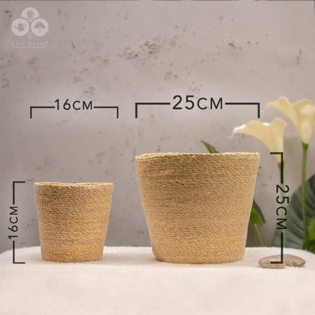 مركن بوهيمي