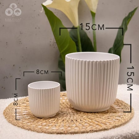 مركن لونا أبيض