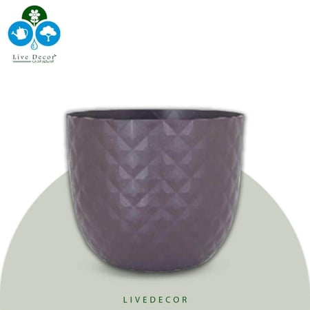 مركن تروبيكل برتغالي كبير