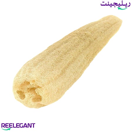 ليفه مصريه بلديه