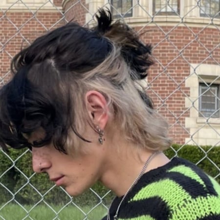 صبغ خصل محدوده