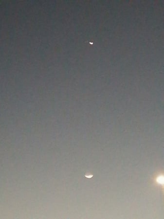 الكينوا البيضاء