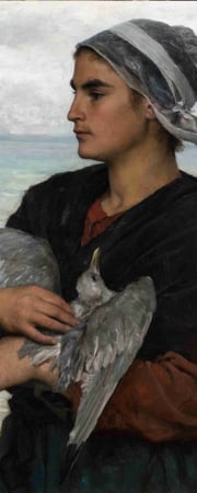 The Wounded Seagull