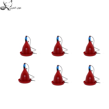 مشرب جامبو عدد 6 جملة