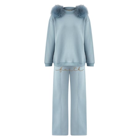 BABY BLUE HIGH-NECK SWEATSHIRT FOX ON SHOULDERS