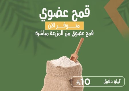 دقيق عضوي 1 كيلو بر