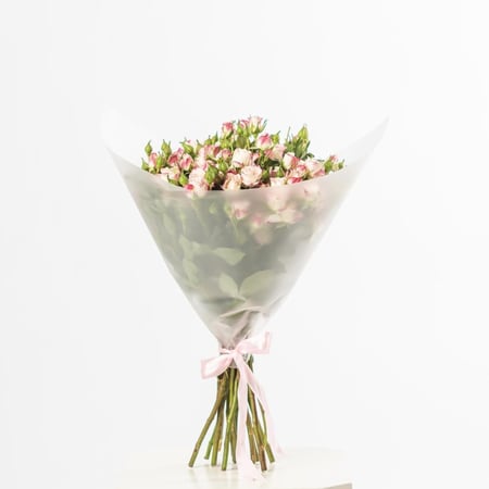 ورد بيبي جوري (الرياض)