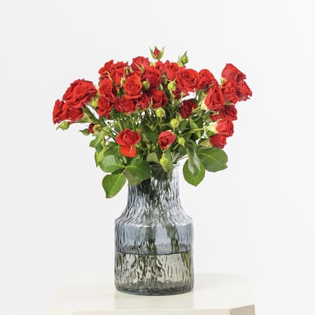 فازه ورد احمر