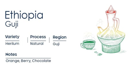 إثيوبيا قوجي | Ethiopia Guji