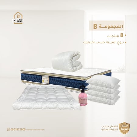المجموعة B
