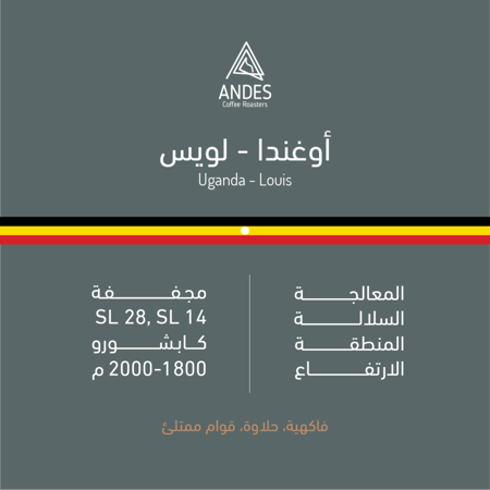 محمصة انديز -اوغندا - لويس 250g
