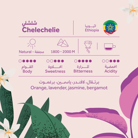 محمصة بريهانت -اثيوبيا شلشلي - حجم 1كيلو