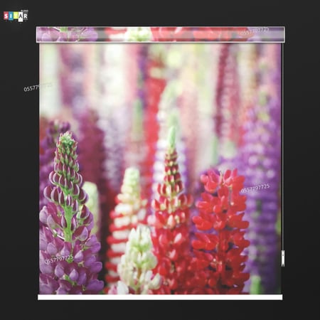 ستائر رول  صوره 3D