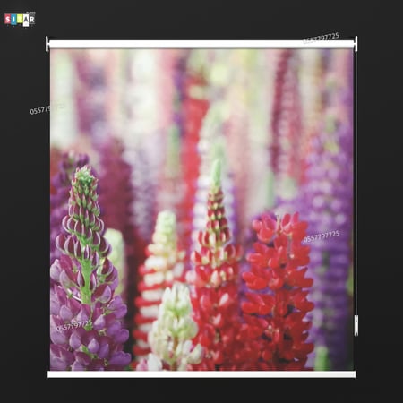 ستائر رول  صوره 3D