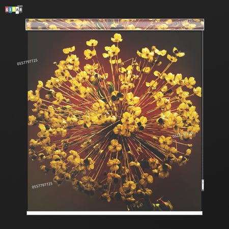 ستائر رول  صوره 3D