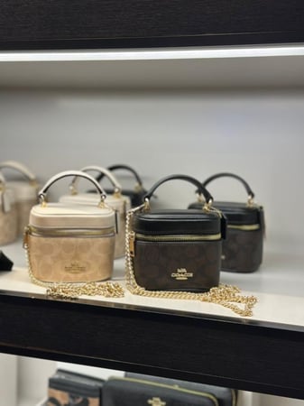 Coach bag
