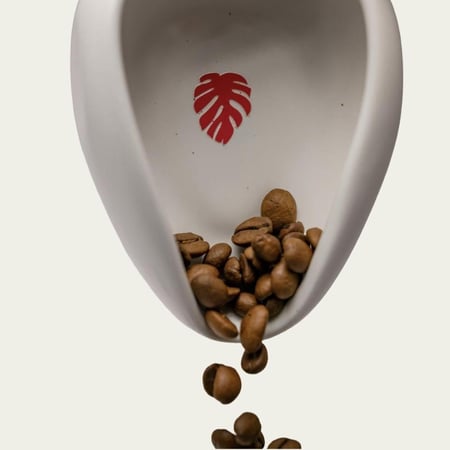 صحن سيراميك لحبوب القهوة