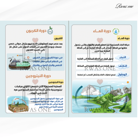 مطوية علوم خامس ( الدورات في الأنظمة البيئية)