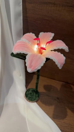 زهرة الزنبق المضيئة باللون الوردي