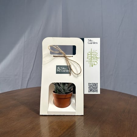 صباريات - توزيعات العيد