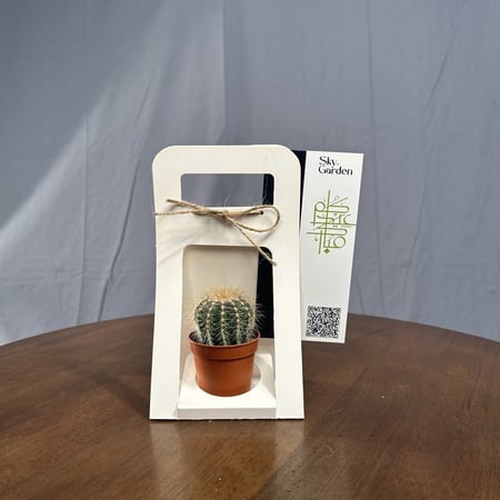 صباريات - توزيعات العيد