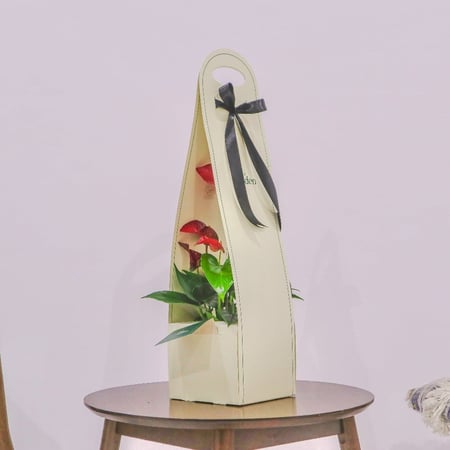 بكج إهداء SKY GARDEN مع نبتة الانتوريوم الأحمر هولندي