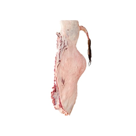 ثمن حاشي حوار