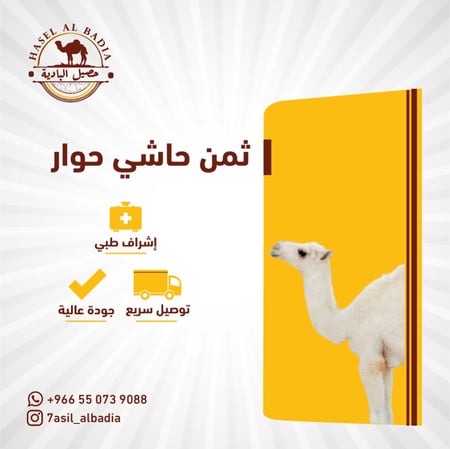 ثمن حاشي حوار