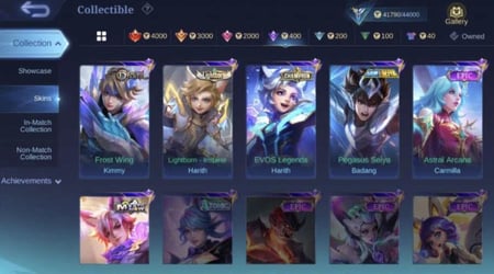 حساب موبايل ليجيند 231 سكن !