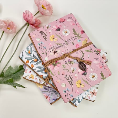 صندوق حكايتي Premium