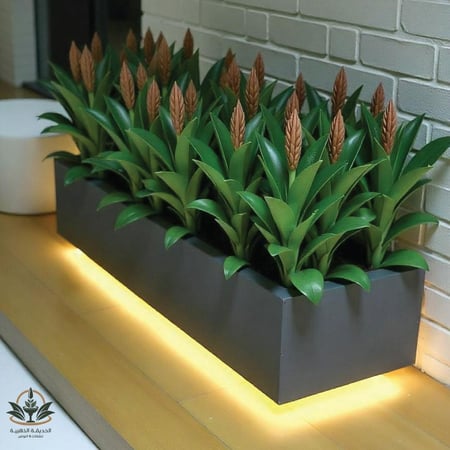 حوض زراعي اضاءة مخفيه