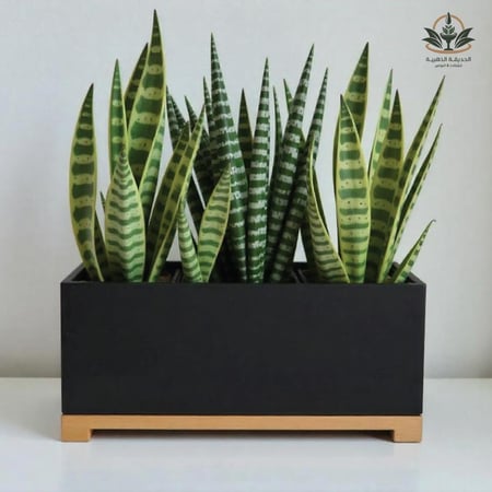 حوض جاهز بقاعدة للزراعة