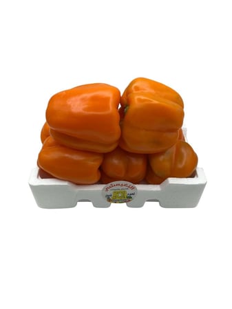 رومي برتقالي فلين صغير