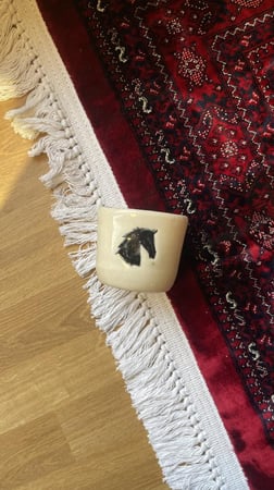 كوب صهيل شفاف