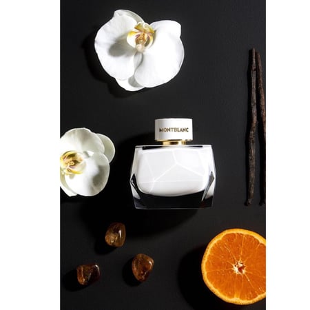 مونت بلانك سقنشر