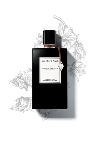 مجموعة عطر فان كليف اند اربلز اكسترودنري كولكشن