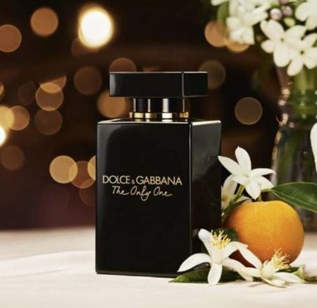 دولسي & قبانا ذا اونلي ون انتنس