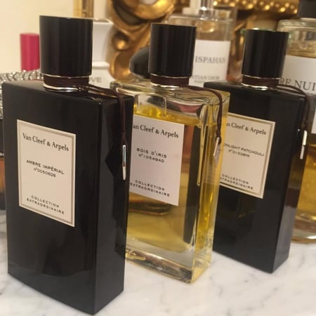 فان كليف اند اربلز بويس ديريس