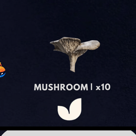 Mushhroom | x10 - ارك رايدرز
