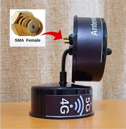 انتينا ميمو