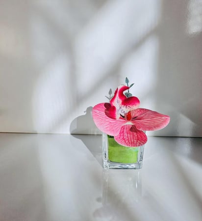 فازة الميني أوركيد