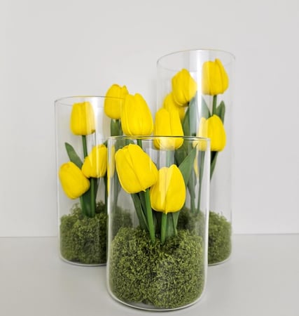 زهور التوليب