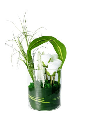 فازة الجوري