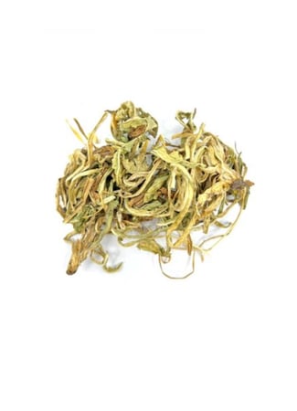 عشبة الهندباء 200 جرام