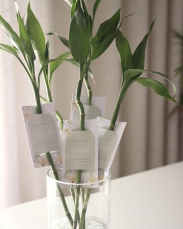 توزيعات ساق البامبو مع كرت إهداء