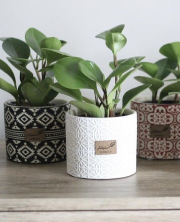 إهداء رمضاني - أصيص زخارف إسلامية