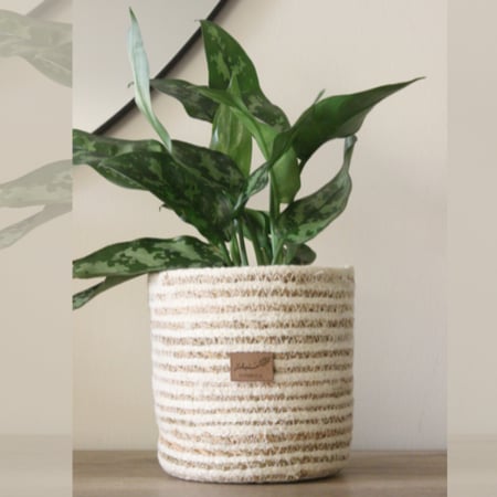 نبات طبيعي في إناء مصنوع من الأعشاب البحرية و القماش - حجم متوسط