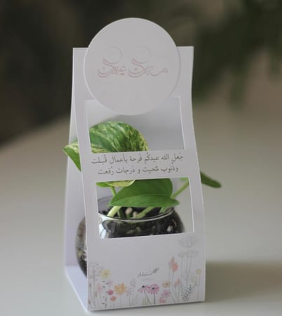 توزيعات بوتس حجم متوسط بثيم العيد